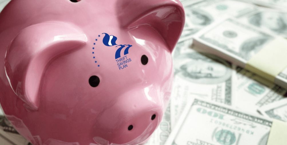 TSP Investment Strategies To Become A Millionaire in 2024